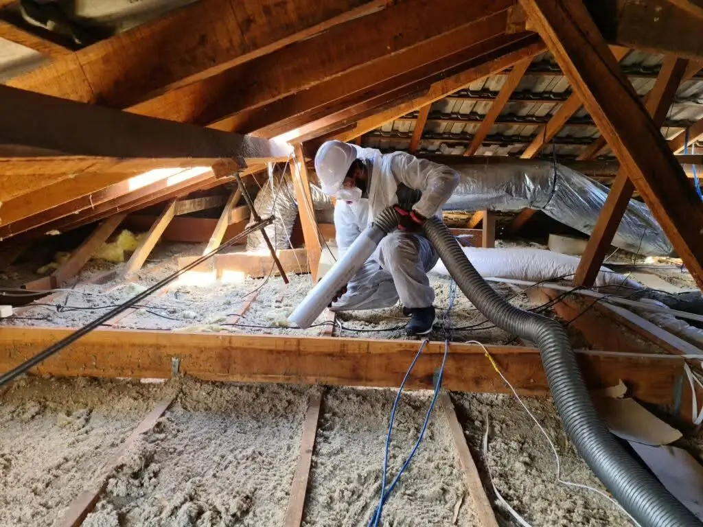 Roof space with old insulation being removed