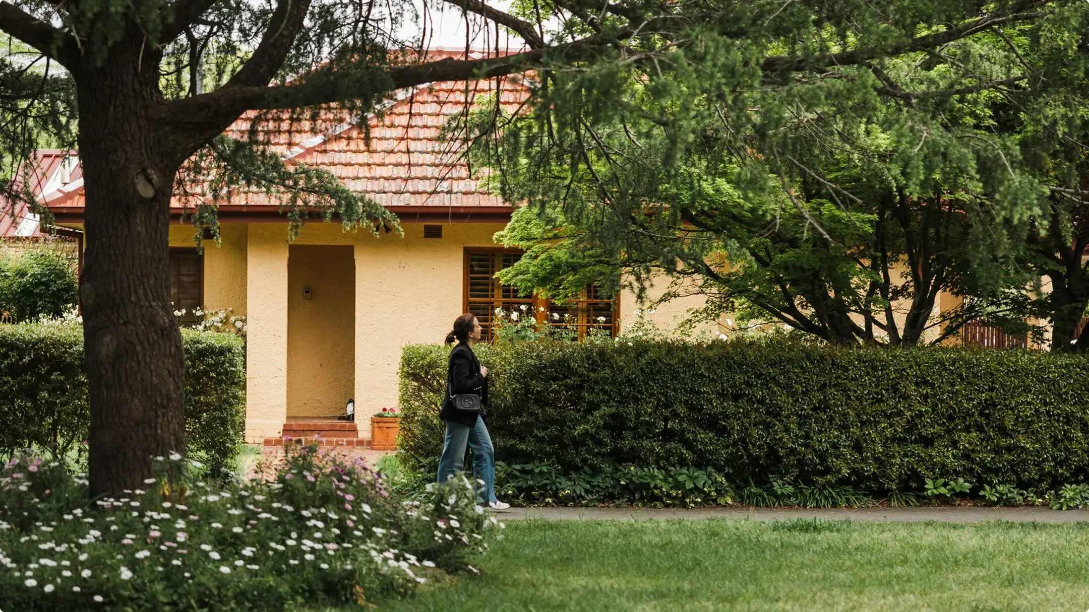 Family home in Canberra with a large tree in the front yard