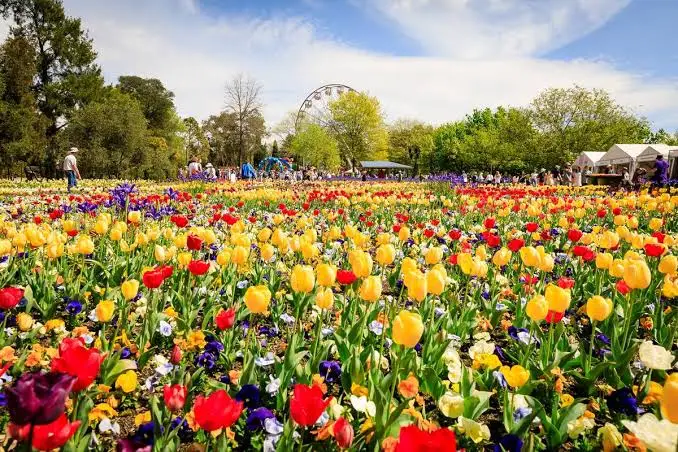 Welcome Spring: Is Your Canberra Home Ready for Warmer Days?